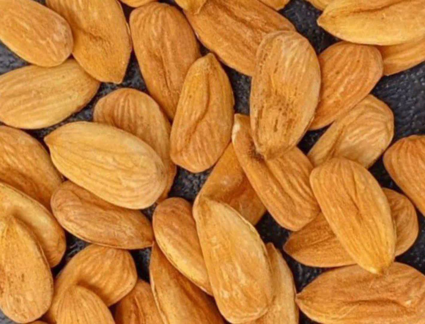 فروش و قیمت مغز بادام شاهرودی درشت